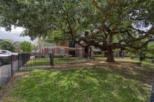 Three Bedroom Apartments for rent in San Antonio, TX - Exterior Building with Tree 